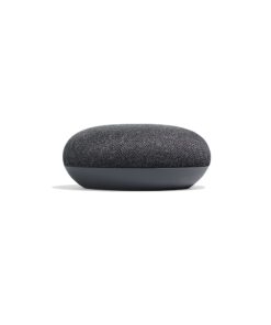 Google Home Mini