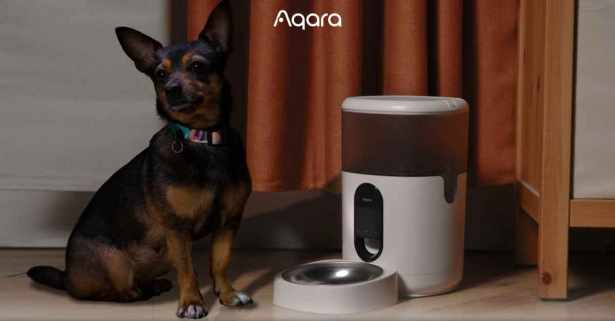 Máy cho thú cưng ăn tự động Aqara PETC1-M01