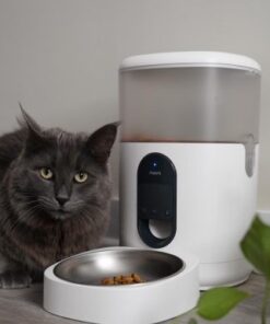 Máy cho thú cưng ăn tự động Aqara PETC1-M01