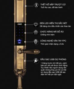 Khoá vân tay tân cổ điển kaadas 6001