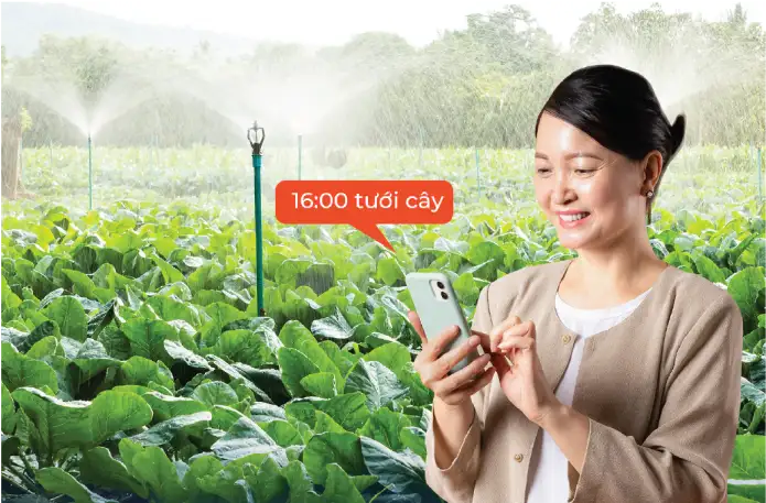 Hẹn giờ tưới cây, sân vườn theo khung giờ cố định hằng ngày