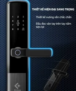 Thiết kế hiện đại sang trọng