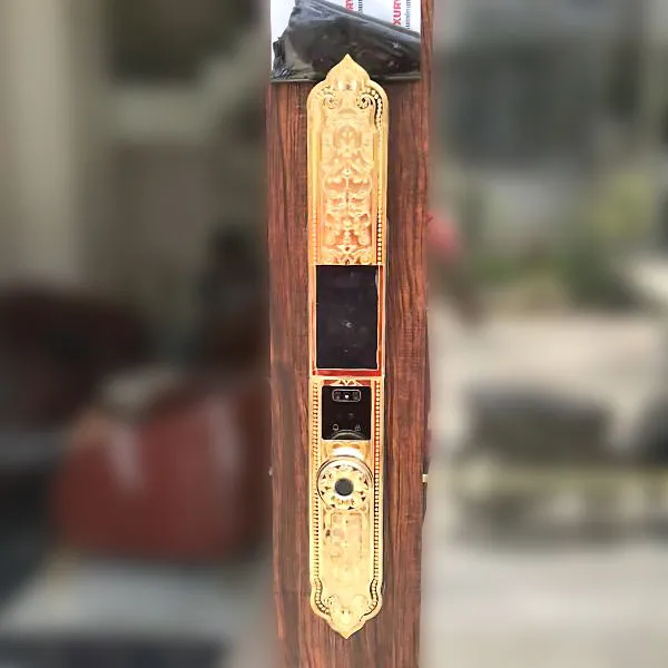 Khóa Đại Sảnh Nhận Diện Khuân Mặt Kassler KL-929F PRO