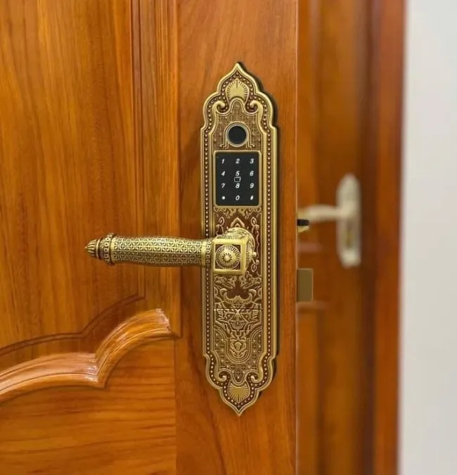 Khóa Vân Tay Tân Cổ Kassler KL-919 PRO