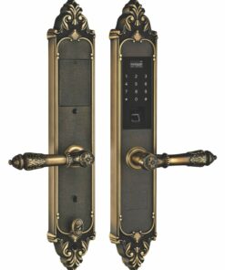 Khóa Vân Tay Tân Cổ Kassler KL-959GR