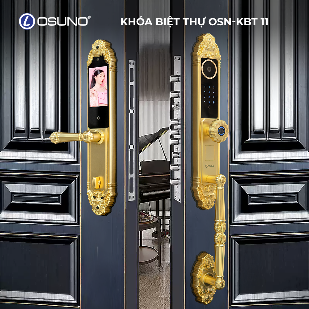 Khóa Biệt Thự Kiểu Cổ Điển OSN-KBT11