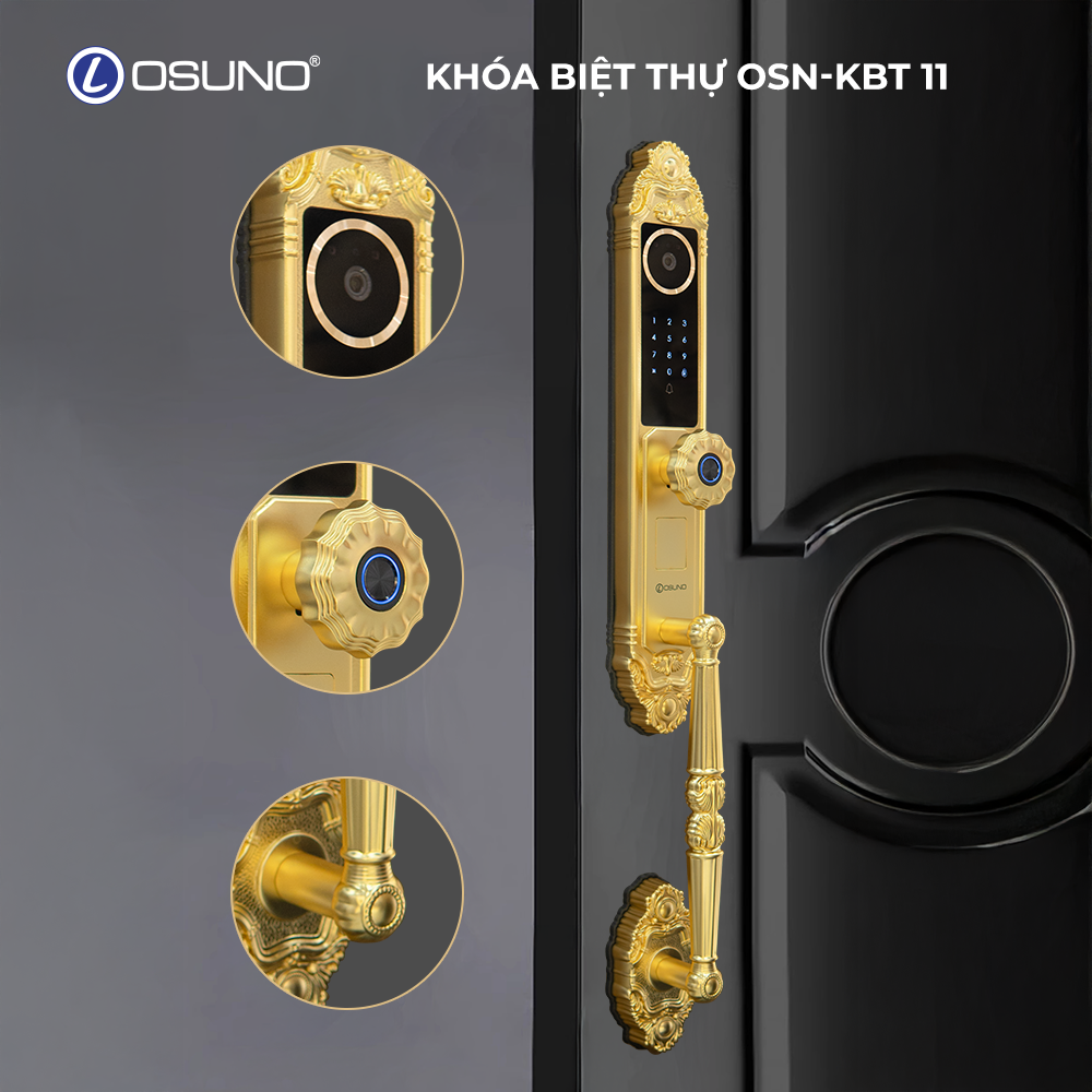 OSN-kbt11